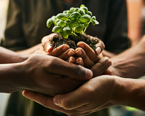 sustainability