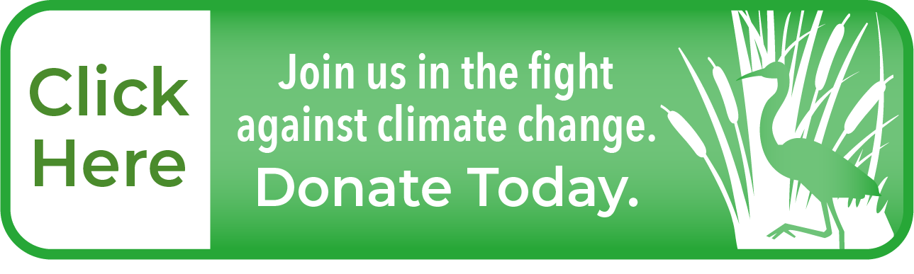 Click Here - Donate Today