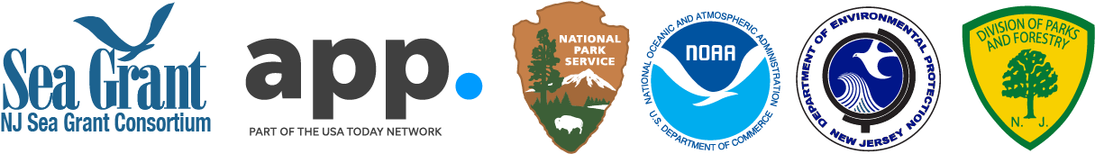 OFD Sponsors' Logos